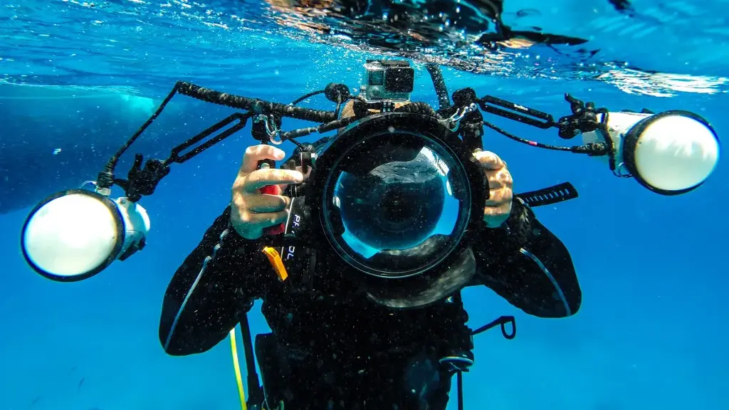 Digital UW Photographer