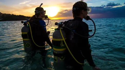 Nitrox Diver  course