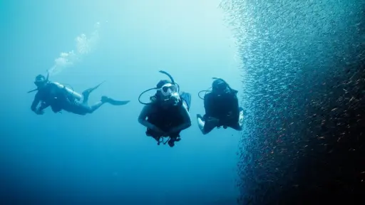 Deep Diver