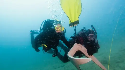 Search and Recovery 